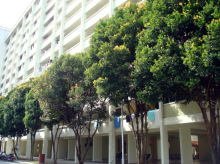 Blk 712 Yishun Avenue 5 (Yishun), HDB 3 Rooms #328862